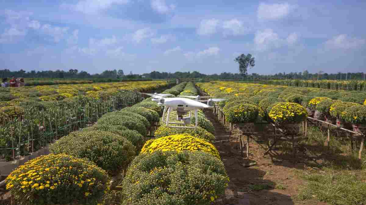 drone agricle